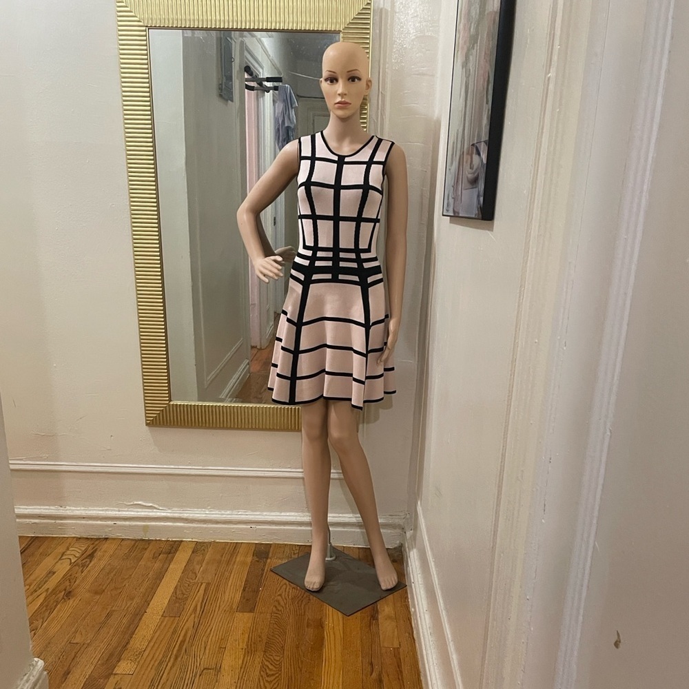 Torn by Ronny Kobo Black and Cream Mini Dress - Picture 9 of 12